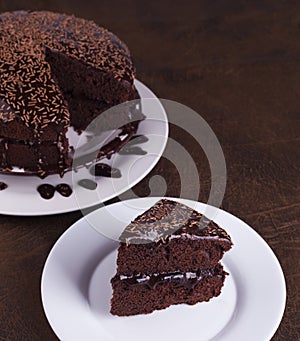 Luxurious Rich Chocolate Cake on White Plate