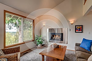 Luxurious and small living room family room with built-in fireplace and large window overlooking Forest