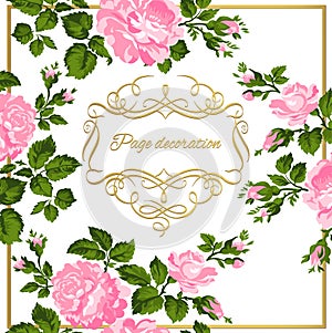 Luxurious vintage card of pink roses with gold calligraphy. Vector illustration.