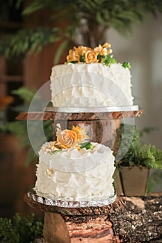 Luxurious wedding cakes