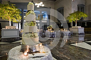 Luxurious Wedding Party Cake