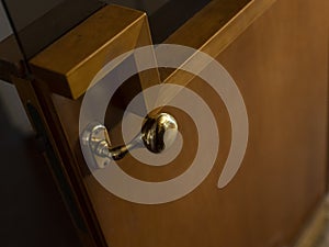 Luxurious wooden door handle