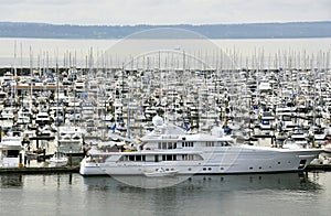 Luxurious yachts in marina