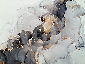 Luxury abstract fluid art painting background alcohol ink technique black shades of gray and gold. Rough edges of paint flow out