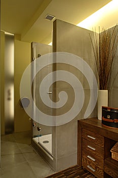 Luxury Apartment Bathroom Shower
