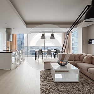 Luxury apartment with city view