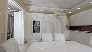 Luxury Apartment Modern kitchen interior.