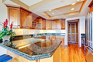 Luxury apartment wood kitchen