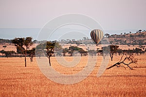 Luxury balloon floating over grass meadow of Serengeti Savanna - African Tanzania Safari trip