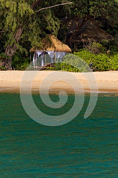 Luxury bamboo shelter in the shade of trees