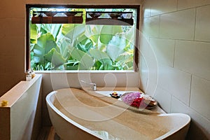 Luxury bath tub with jungle view. Bath near window with tropic greenery for relax. Spa,organic and skin care, beauty