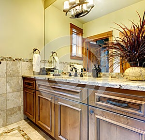 Luxury bathroom cabinets in mountain home.