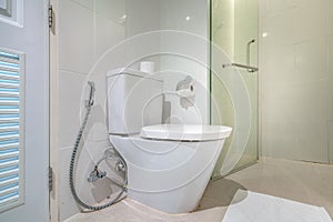 Luxury bathroom feature toilet bowl