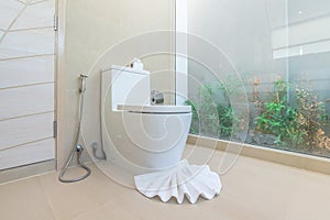 Luxury bathroom feature toilet bowl home, house ,building