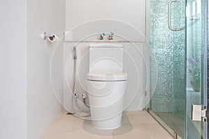 Luxury bathroom feature toilet bowl home, house ,building