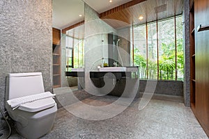 Luxury bathroom features basin, toilet bowl