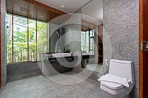 Luxury bathroom features basin, toilet bowl