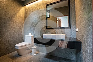 Luxury bathroom features basin, toilet bowl