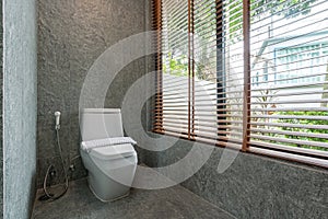 Luxury bathroom features , toilet bowl