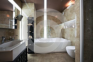 Luxury bathroom interior