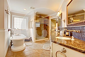 Luxury bathroom interior.