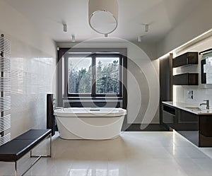 Luxury bathroom interior