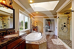 Luxury bathroom interior with bath tub and glass door shower