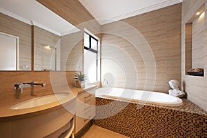 Luxury bathroom in modern home