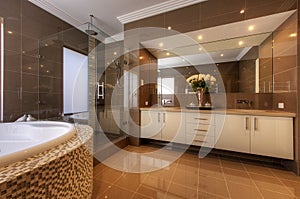 Luxury bathroom in modern home