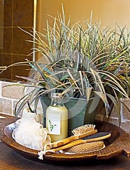 Luxury Bathroom Spa Set With Plant