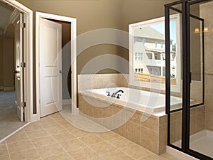Luxury Bathroom Tub and Window 2