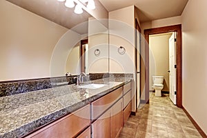 Luxury bathroom with vanity cabinet with granite counter top and large mirror.