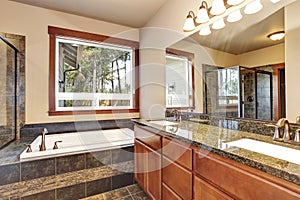 Luxury bathroom with vanity cabinet with granite counter top and large mirror.