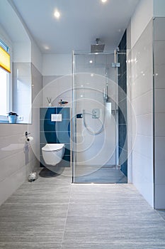 Luxury Bathroom with walk in Glass Shower - Vertical shot of a luxury bathroom with large, walk-in shower.