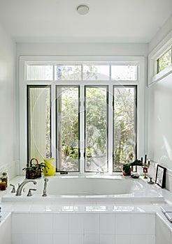 Luxury bathtub with windows