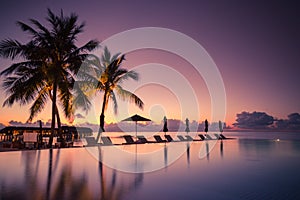 Luxury beach pool scene. Palm trees and infinity pool on Maldives beach