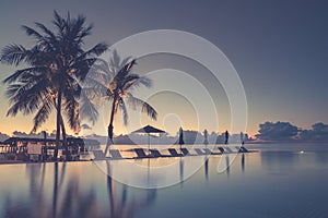 Luxury beach pool scene. Palm trees and infinity pool on Maldives beach