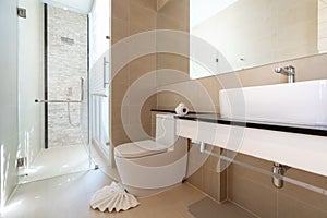 Luxury beautiful interior real bathroom features basin, toilet bowl in the house or home building