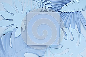 Luxury blue square podium, and palm leaves in pastel background