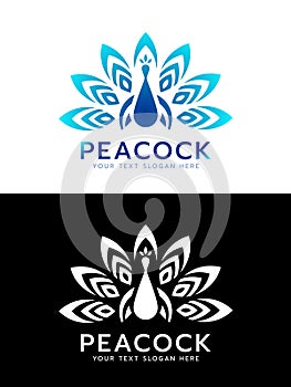 Luxury blue and white Peacock logo sign vector design