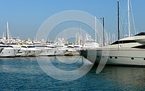 Luxury boats in a Marina