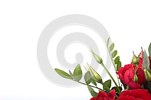 Luxury bouquet made of red and white roses on white background. Decoration for celebration.