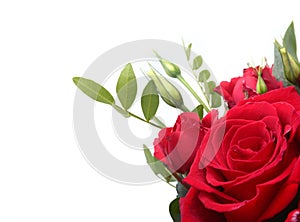 Luxury bouquet made of red and white roses on white background. Decoration for Valentines day.