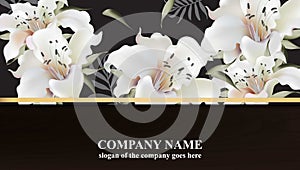 Luxury brand card with white lily flowers. Elegant floral background Vector