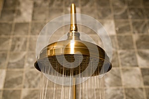 Luxury brass shower head.