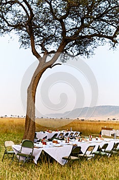 Luxury bush breakfast