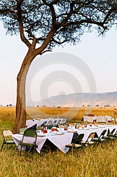 Luxury bush breakfast