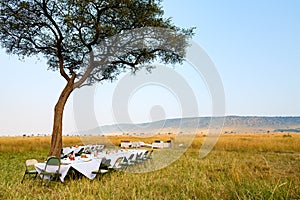 Luxury bush breakfast