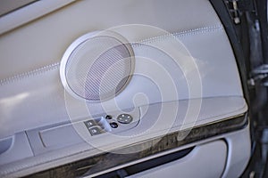 Luxury Car Door Speaker and Buttons Detail