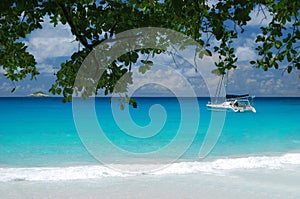 Luxury catamaran sailing near a tropical beach photo